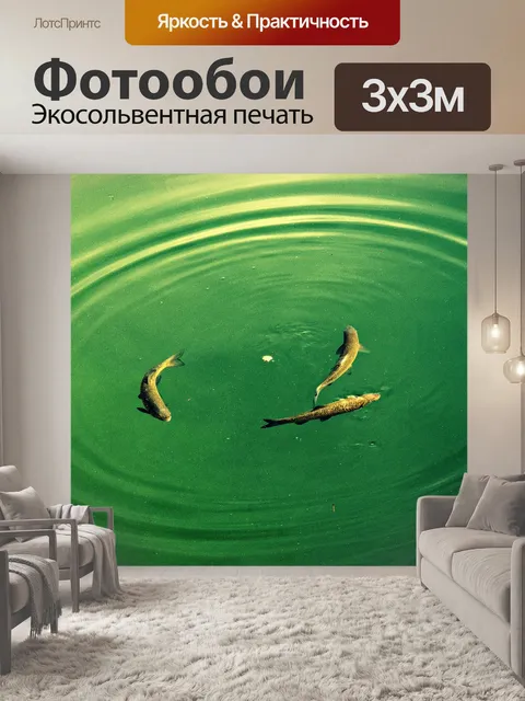 Фотообои Рыбы