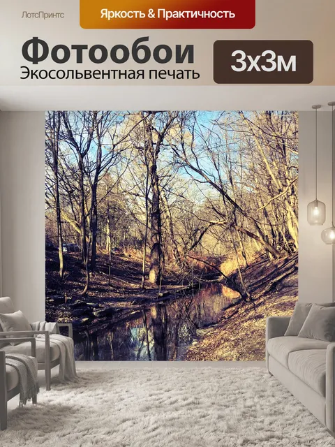 Фотообои Осенний лес