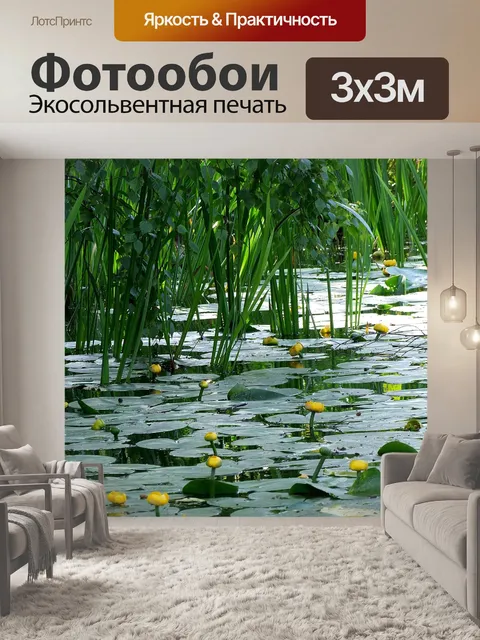Фотообои Водные цветы