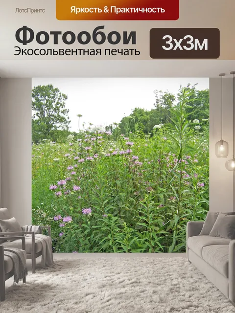 Фотообои Поле с Полевые цветы