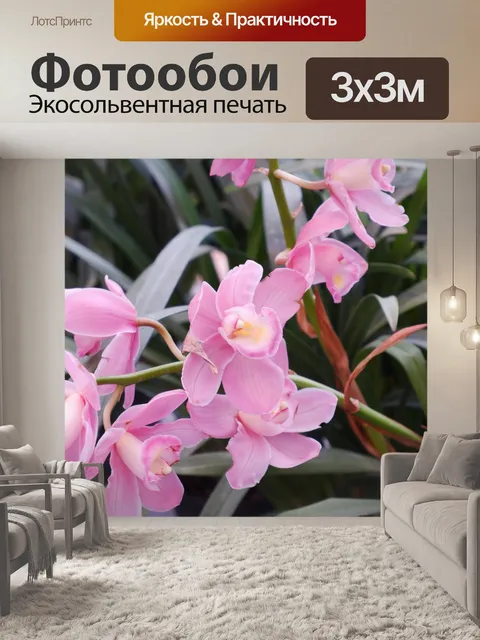 Фотообои орхидея