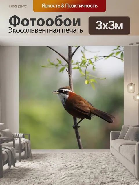 Фотообои Маленький изогнутый рот