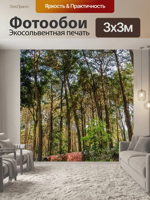 Фотообои Туристический лагерь в сосновом лесу на