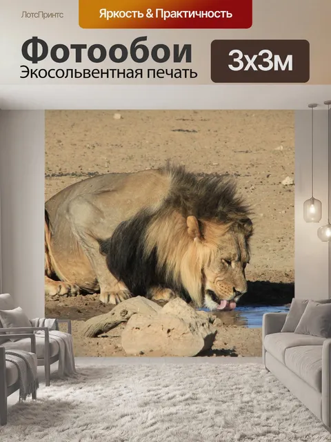 Фотообои Лев