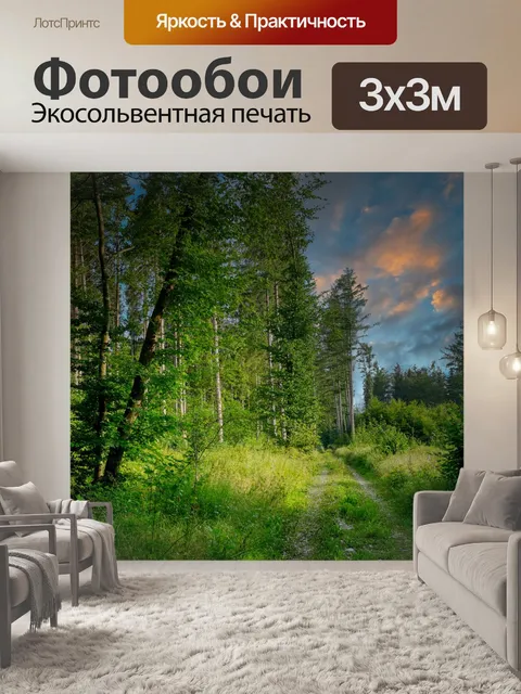Фотообои Тропа в лесу