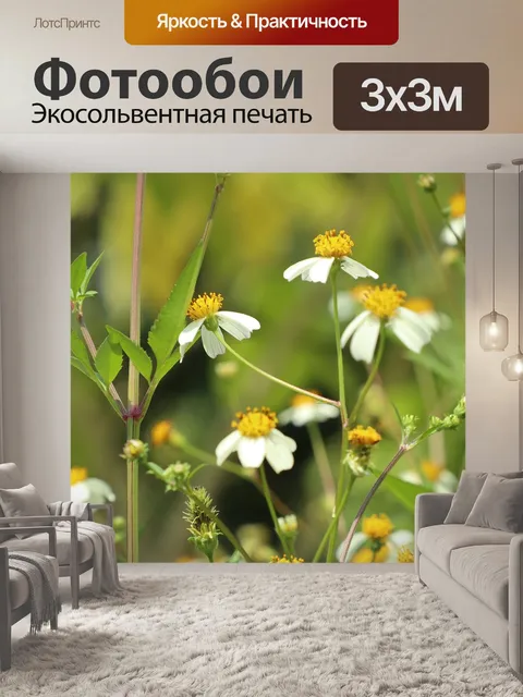 Фотообои Ромашки
