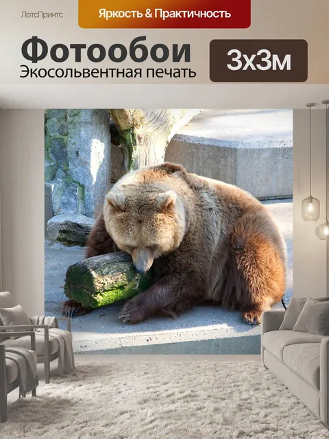 Фотообои Бурый медведь