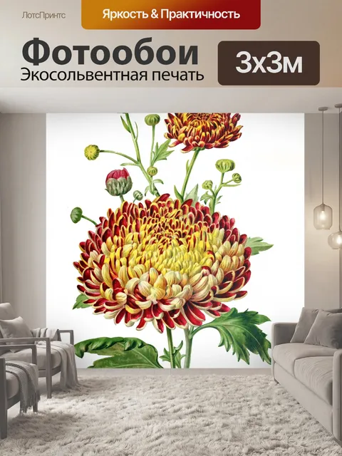 Фотообои Цветок хризантемы винтажное искусство