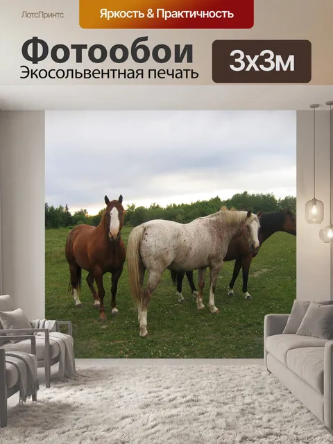 Фотообои 3 Лошади в зеленых pasture