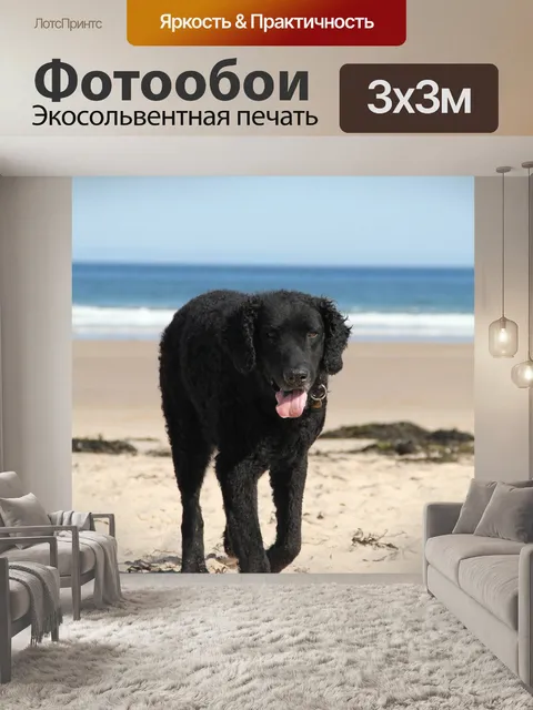 Фотообои Собака