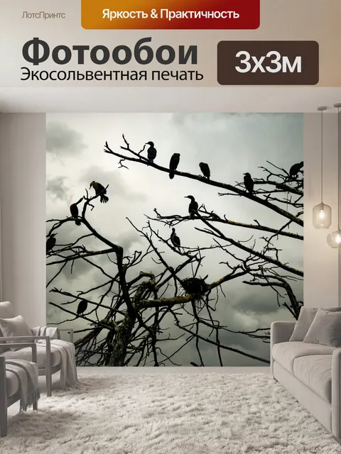 Фотообои Вложенные птицы бакланов