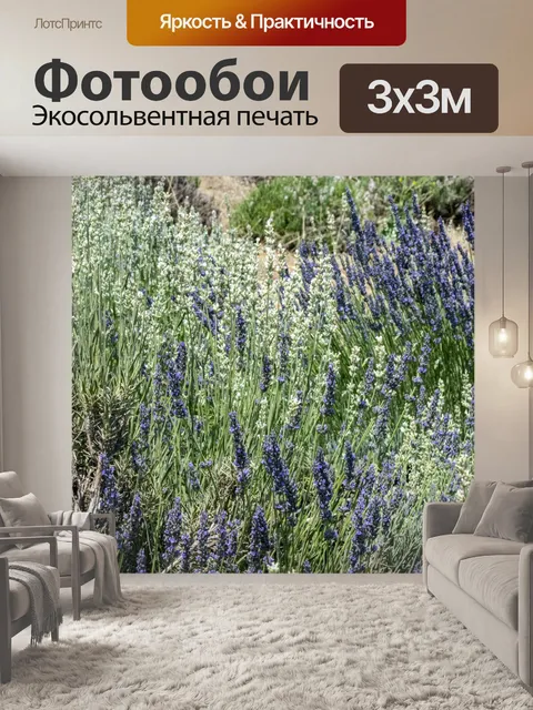 Фотообои бело-фиолетовая лаванда