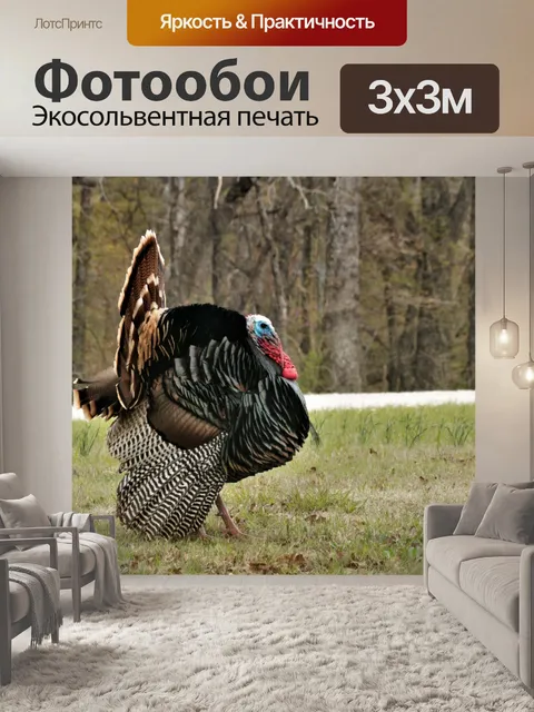 Фотообои Том Турция крупным планом