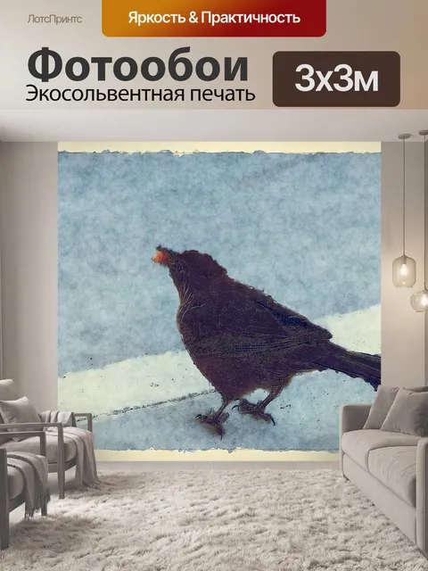 Фотообои черная птица