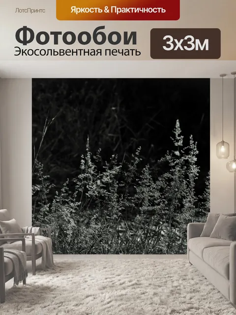 Фотообои Дикая трава в черно-белом