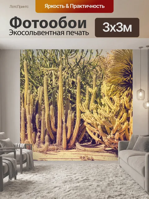 Фотообои Кактусы в жаркий день