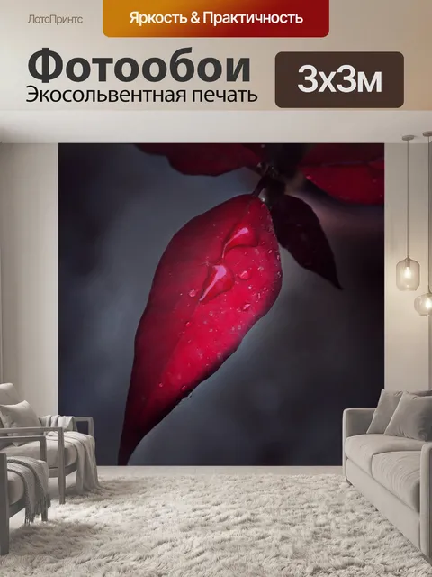 Фотообои Красный отпуск