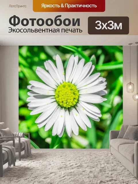 Фотообои Дейзи