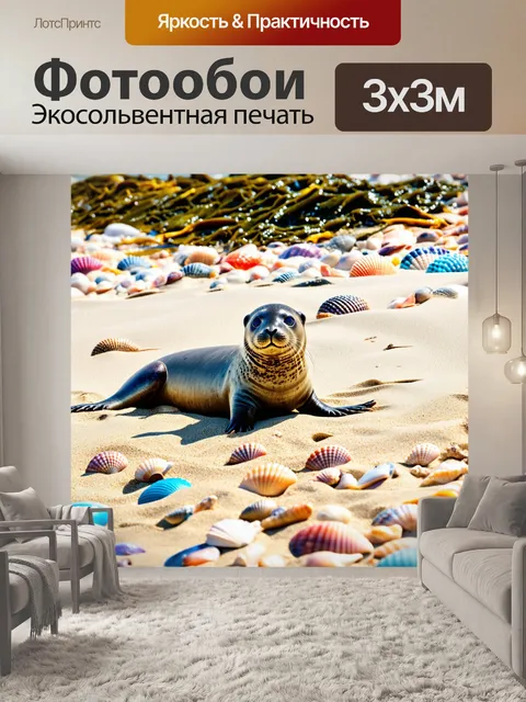 Фотообои тюлень, отдыхающий на пляже в яркий солнечный день, в окружении цветных морских ракушек и водорослей