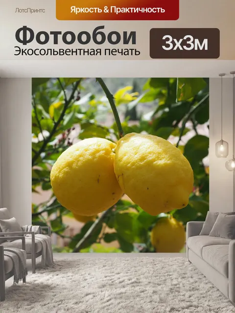 Фотообои Лимон