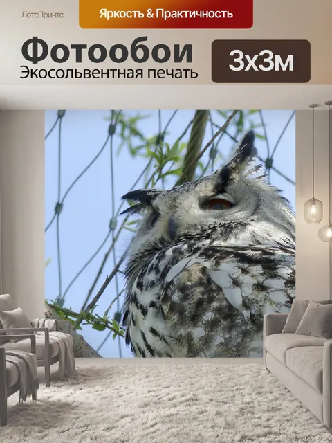 Фотообои Сибирский