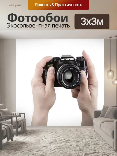 Фотообои Камера в руке