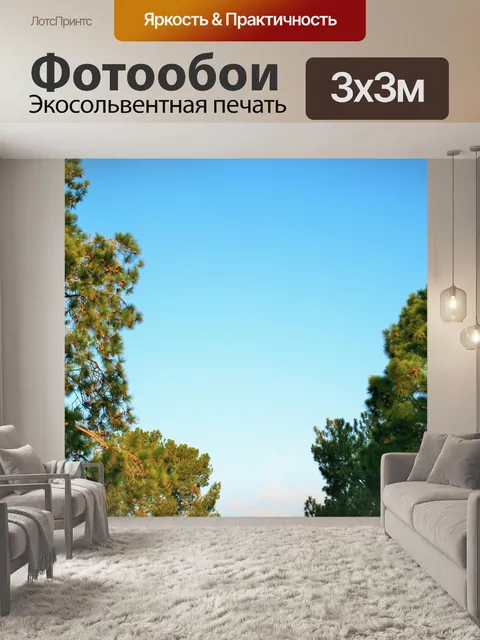 Фотообои поздно солнце на сосны