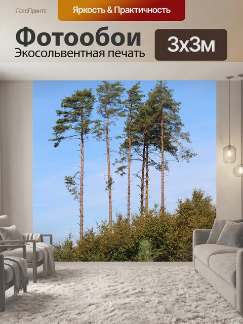 Фотообои Деревья