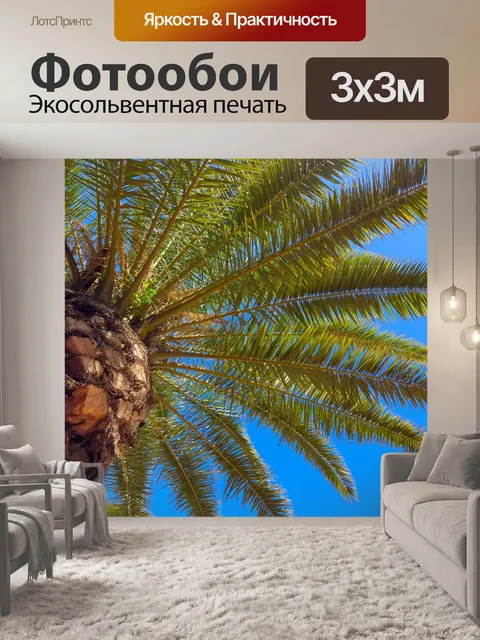 Фотообои Пальма и голубое небо