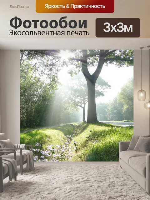 Фотообои Туманный
