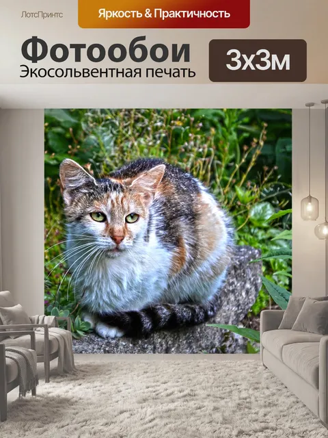 Фотообои Животное