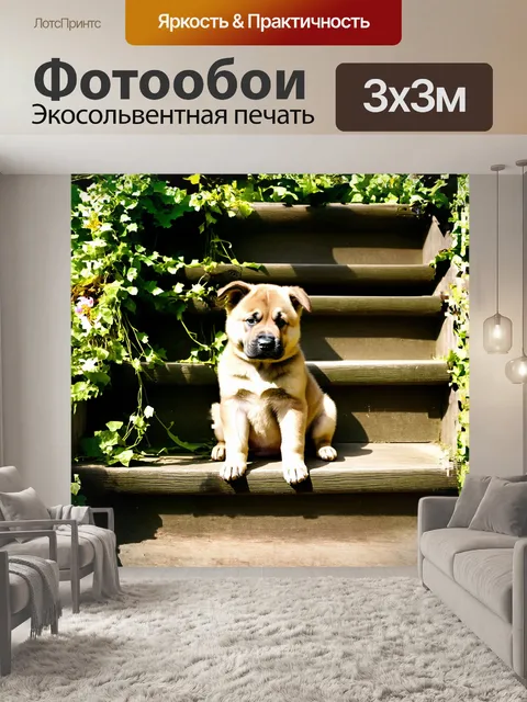 Фотообои на изображении изображён щенок американской акиты