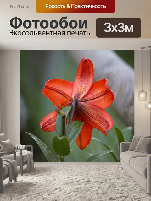 Фотообои Лили