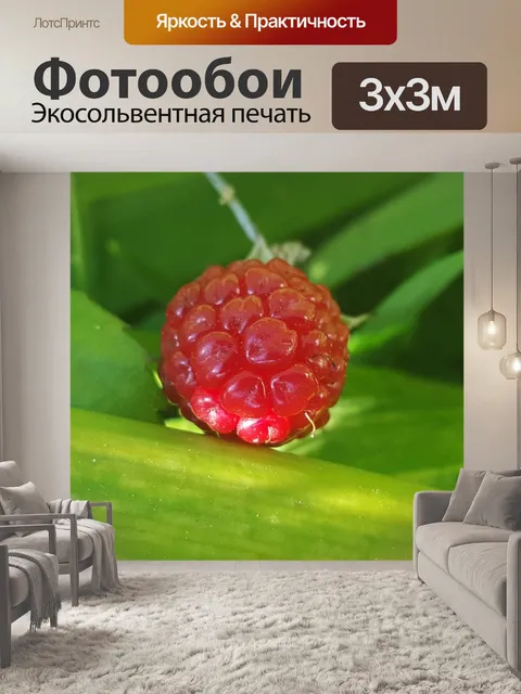 Фотообои Ежевика