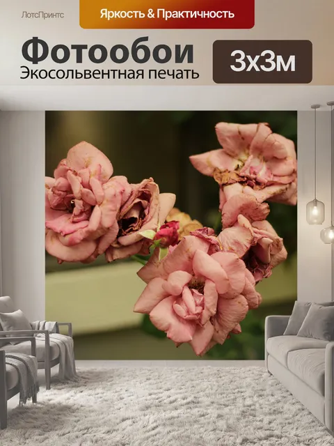 Фотообои 3 розовые розы