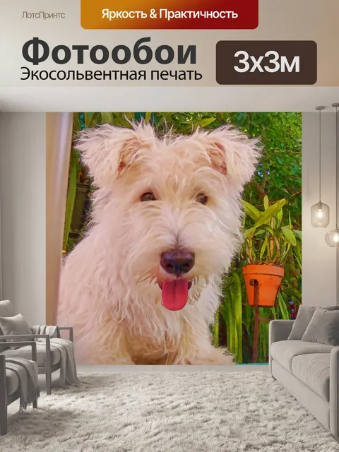 Фотообои Белый щенок шотландского терьера