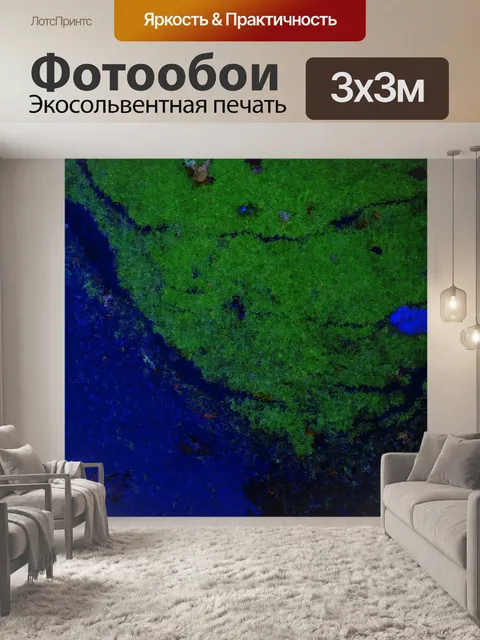 Фотообои Наземная квартира