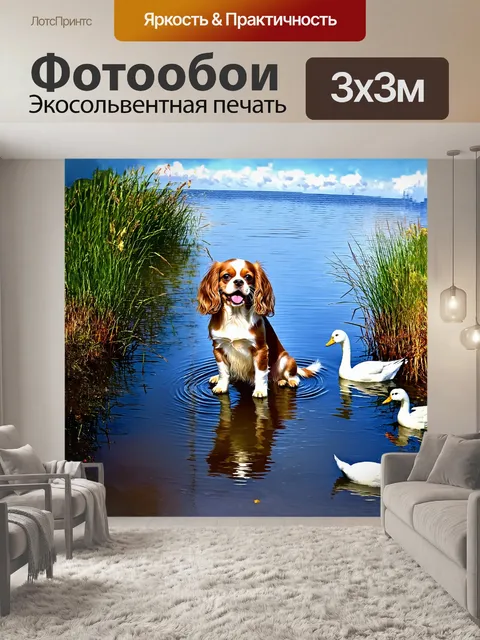Фотообои на изображении изображена счастливая собака породы кавалер кинг чарльз спаниель