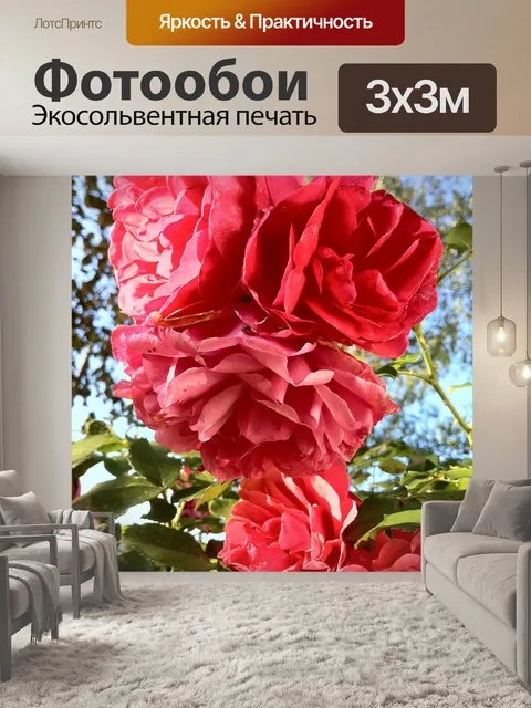 Фотообои Плетистая роза