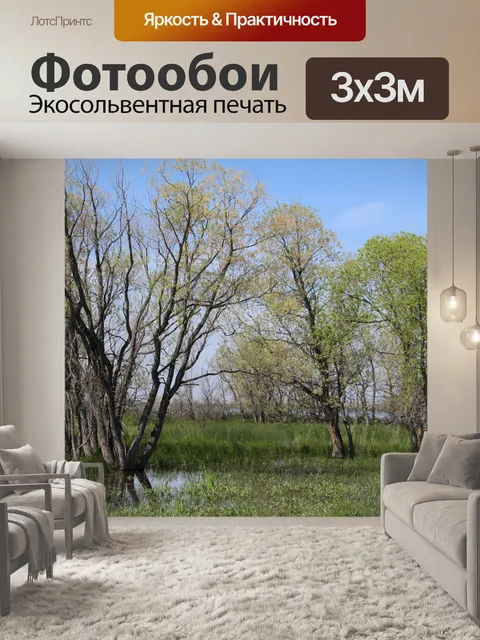 Фотообои Марш деревья Трава