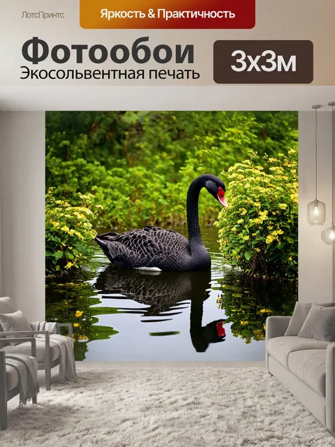 Фотообои на фоне густого зеленого леса черный лебедь кормится кустами цветущих водяных растений