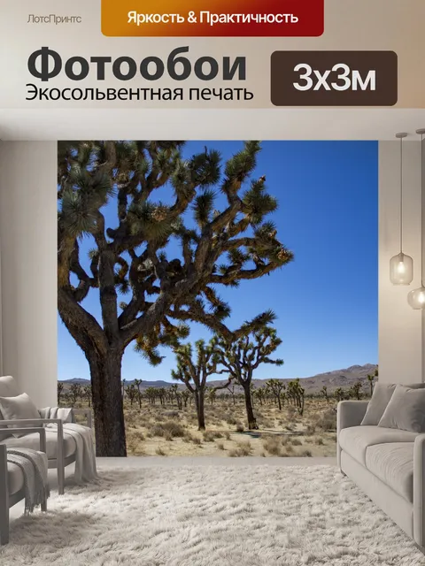 Фотообои Джошуа Три Какти