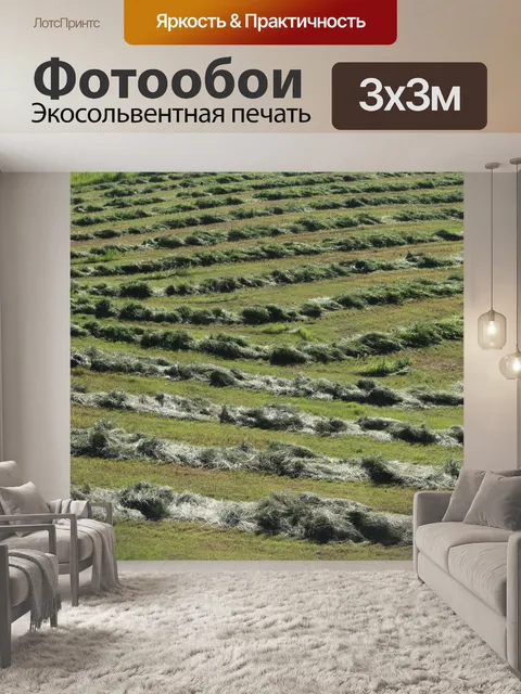 Фотообои Сено полеводства Линии