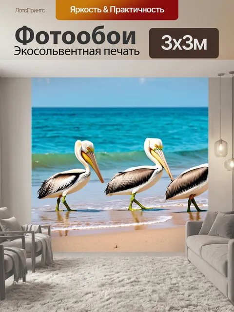 Фотообои пеликаны, аэробика на пляже, в яркой обстановке и с прибрежными пейзажами, выполненные в стилистике