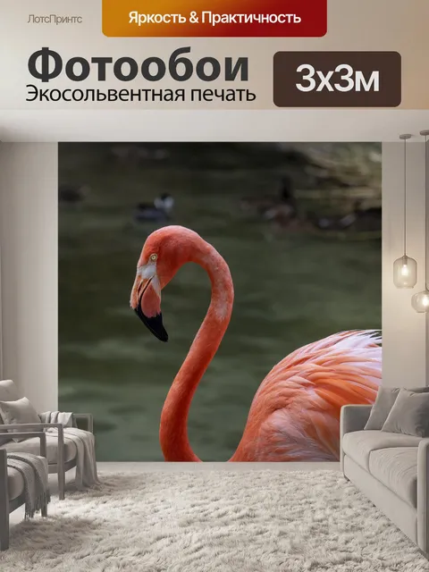 Фотообои фламинго