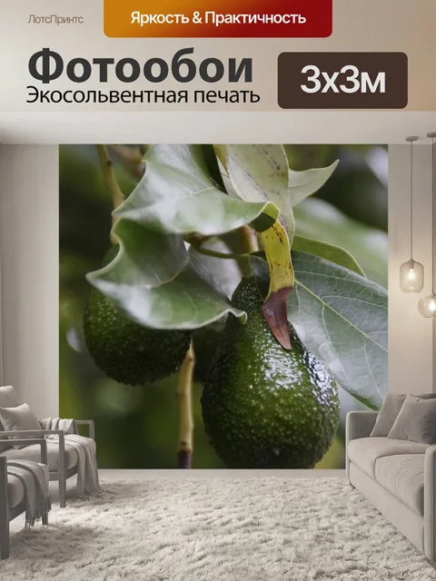 Фотообои Авокадо
