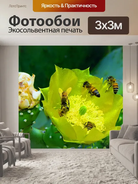 Фотообои Медовый