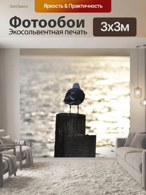Фотообои Чайка с видом на море