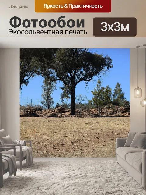 Фотообои камни и деревья за забором