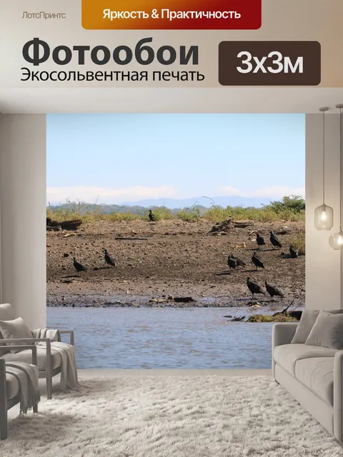 Фотообои Стая Стервятников